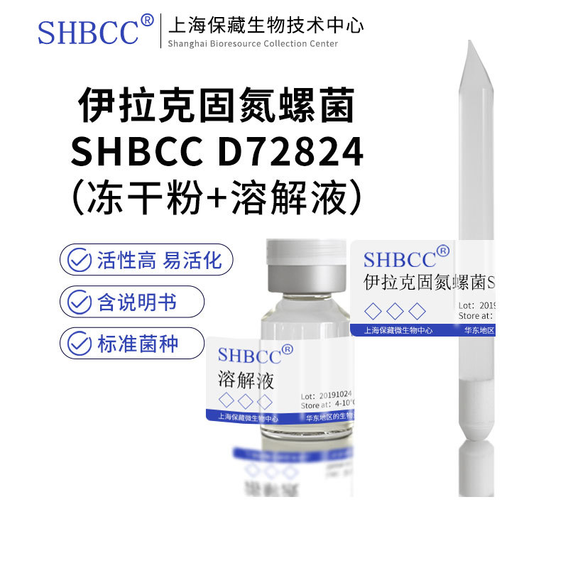 伊拉克固氮螺菌非模式菌株固氮螺菌培养基37℃培养冷藏4-10 ℃