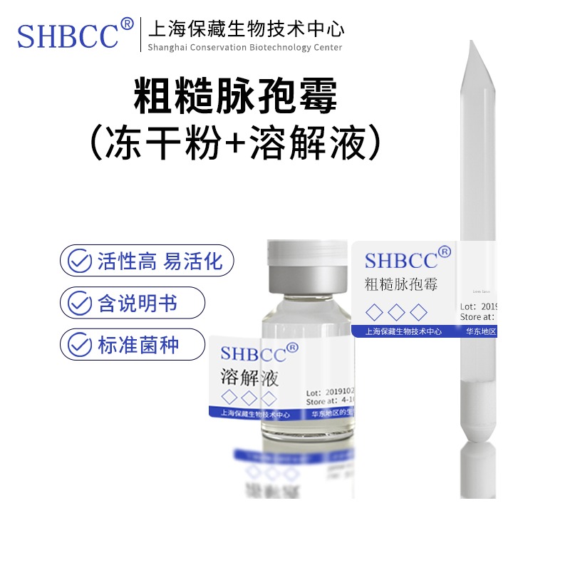粗糙脉孢霉 粗燥链孢菌 赖氨酸缺陷型SHBCC D24646冻干粉用于科研