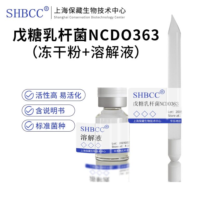 包邮冻干粉戊糖乳杆菌菌种服务0代模式菌株NCDO363