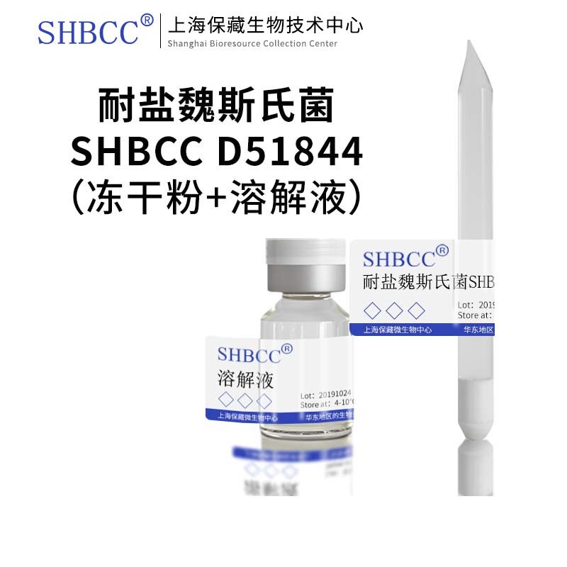 耐盐魏斯氏菌ATCC 35410模式菌株MRS培养基冷藏4-10℃冻干物现货