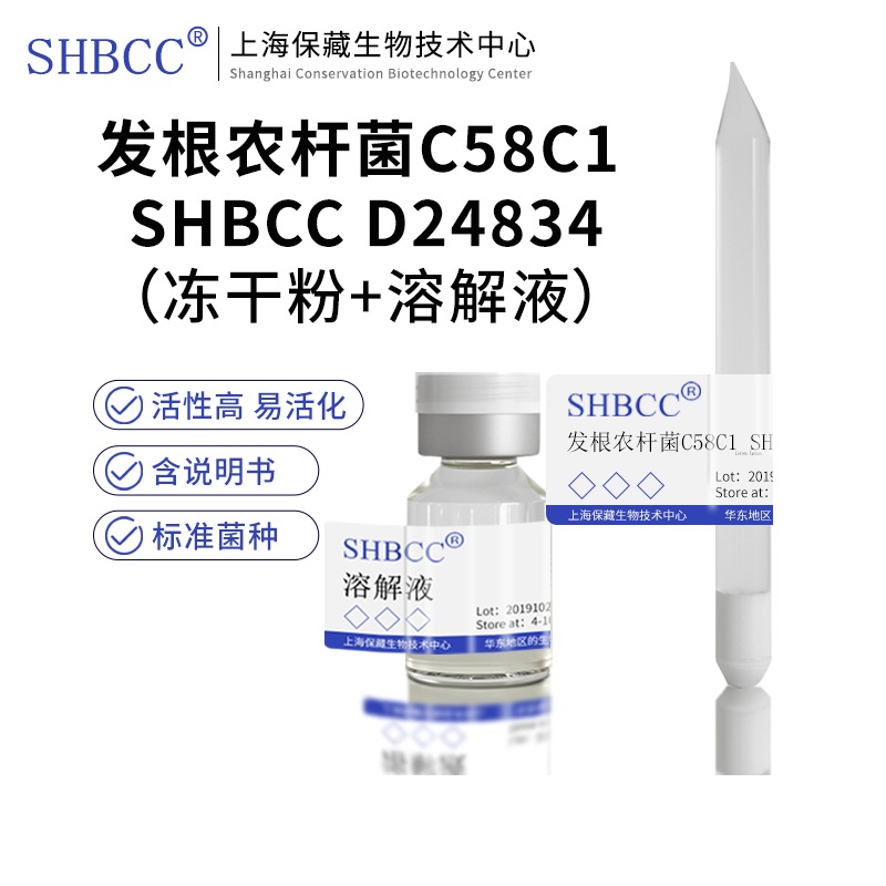 发根农杆菌C58C1 SHBCC D24834TY培养基30℃培养活化甘油菌1ml
