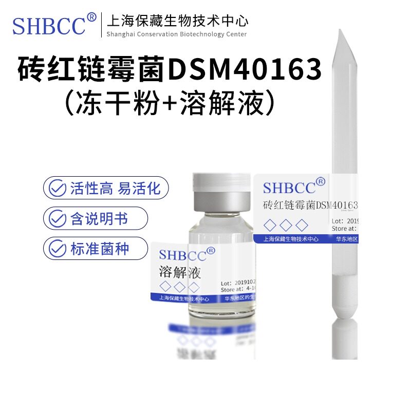 包邮冻干粉砖红链霉菌DSM40163菌种服务