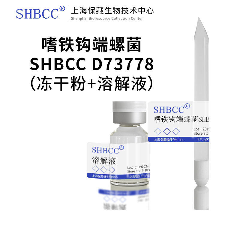 嗜铁钩端螺菌SHBCC D73778非模式菌株LEPTOSPIRILLUM (HH) MEDIUM