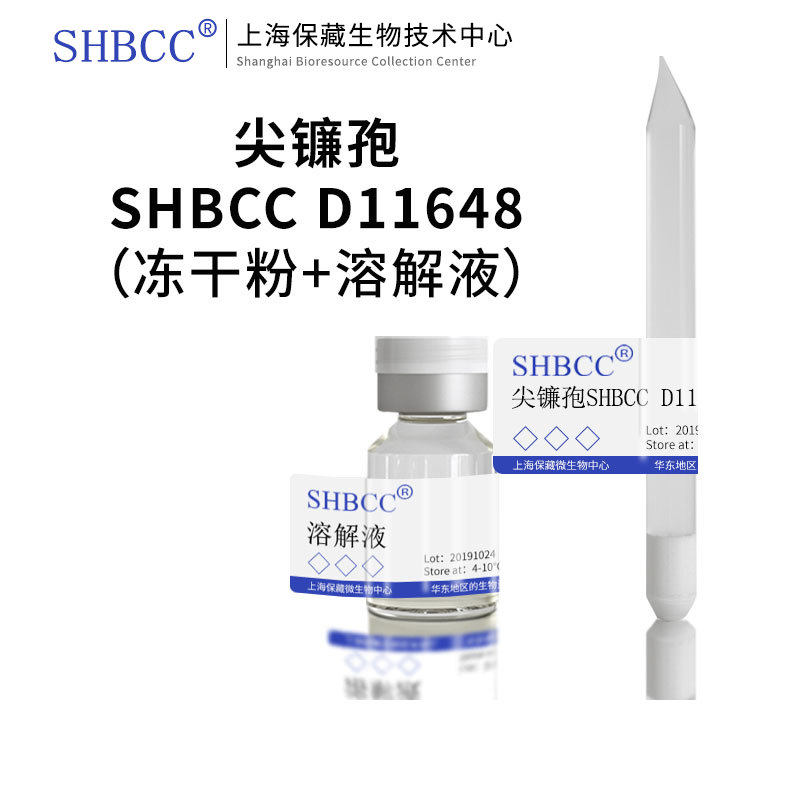 尖镰孢 D11648 AS3.1789 保存方法4-10度  冻干粉
