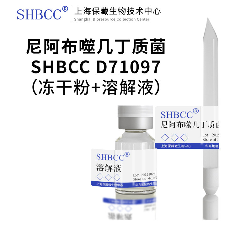 尼阿布噬几丁质菌KACC12952 =NBRC106412模式菌株R2A培养基30培养