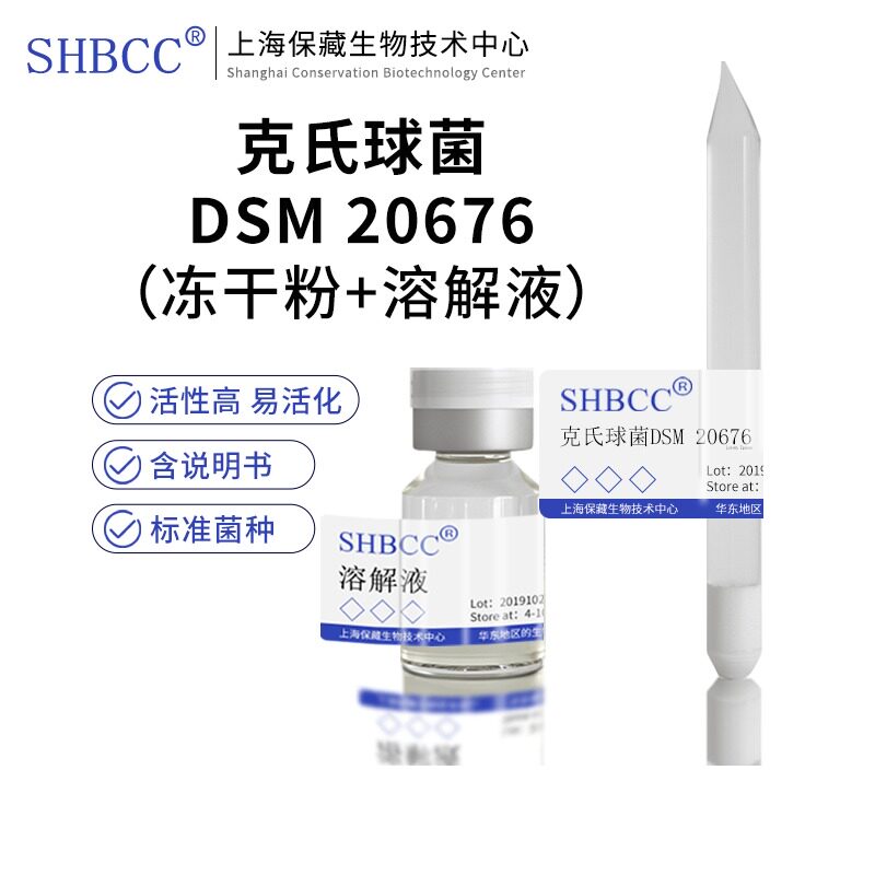 包邮冻干粉克氏球菌DSM 20676标准菌种菌株可活化传代菌种服务