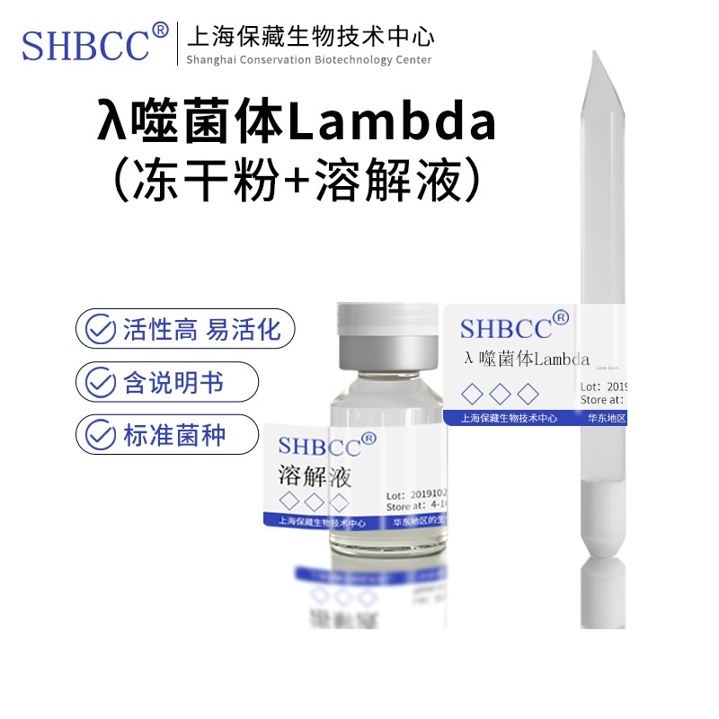 λ噬菌体Lambda冻干粉营养琼脂活化37度需要宿主细菌共活化上海