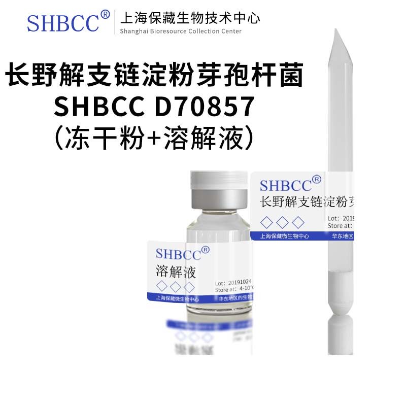 长野解支链淀粉芽孢杆菌ATCC 53909ALICYCLOBACILLUS MEDIUM冷藏