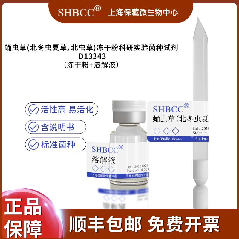 蛹虫草(北冬虫夏草，北虫草)冻干粉科研实验菌种试剂 D13343