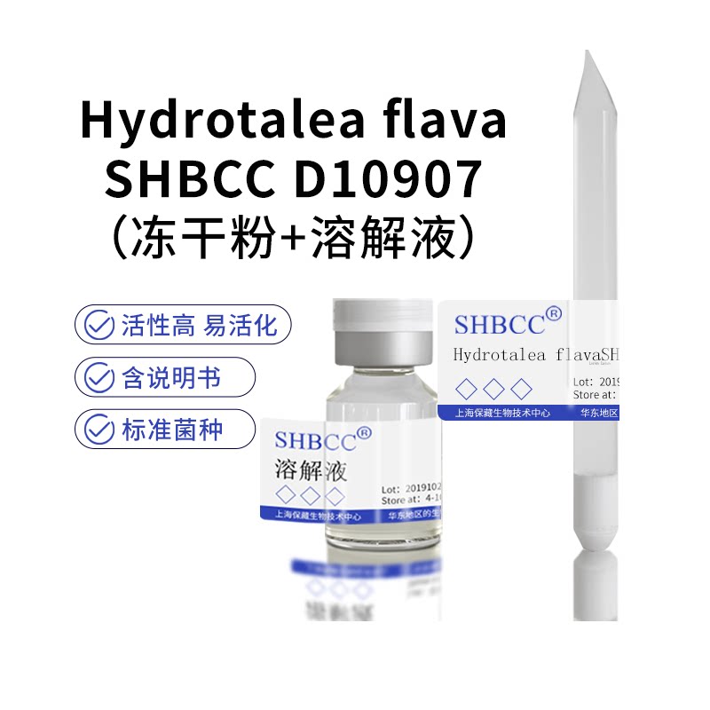包邮 冻干粉 Hydrotalea flava