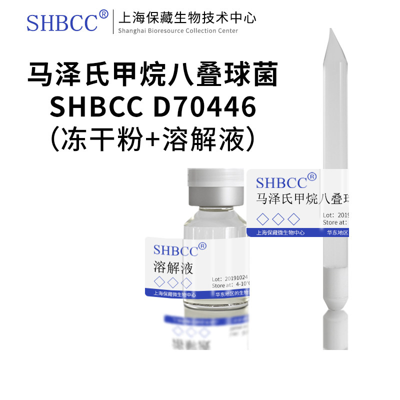 马泽氏甲烷八叠球菌非模式菌株CM-M1培养基30℃培养冷藏4-10℃