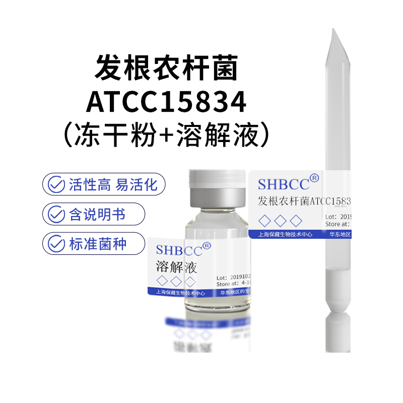 发根农杆菌ATCC15834农杆菌转基因植物基因工程菌种包邮菌种