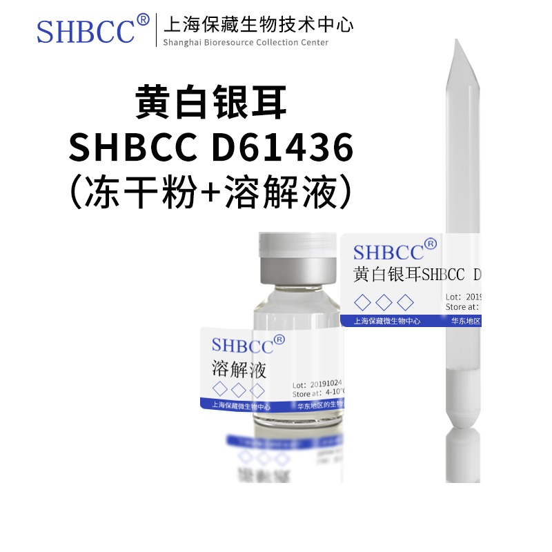 黄白银耳 SHBCC D61436 非模式菌株 综合PDA琼脂 斜面培养物