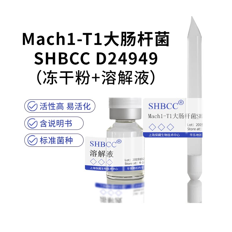 基因工程菌种培养服务Mach1-T1基因工程菌种培养服务抗噬菌体菌株