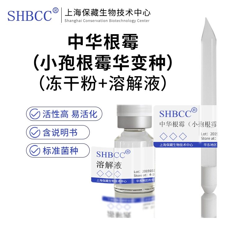 中华根霉（小孢根霉华变种）ACCC30301冻干粉4-10度保存