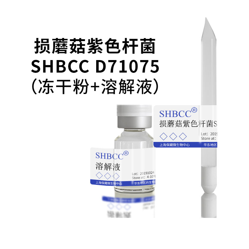 盐渍喜盐芽孢杆菌D50281模式菌株海水2216琼脂30℃培养冻干物