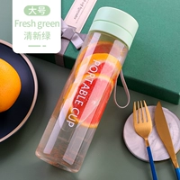 Двойная крышка с чаем прозрачно-свежие зеленые 800 мл