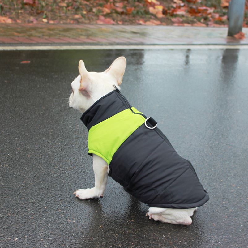 Autumn Winter Dress Pooch Clothing Plus Suede Thickened Faso Bago Bulldog Two Feet Necropolis Pets Winter Cotton Clots