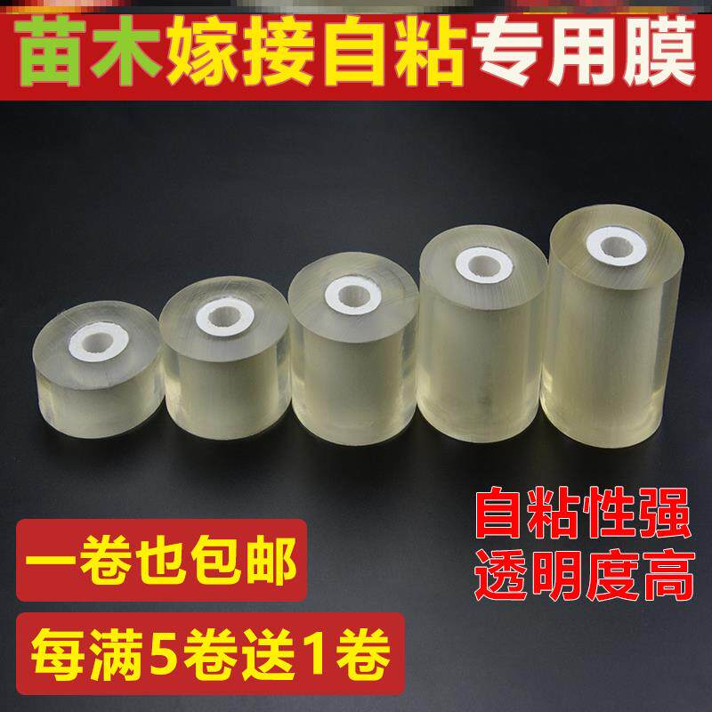 Film grip leather garden fruit tree special membrane graft adhesive tape bandaged with wound membrane graft film