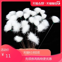 Silver needle goose feather stick ear picking tool set single-piece household ear digging spoon Professional sweeping scratching ear hair