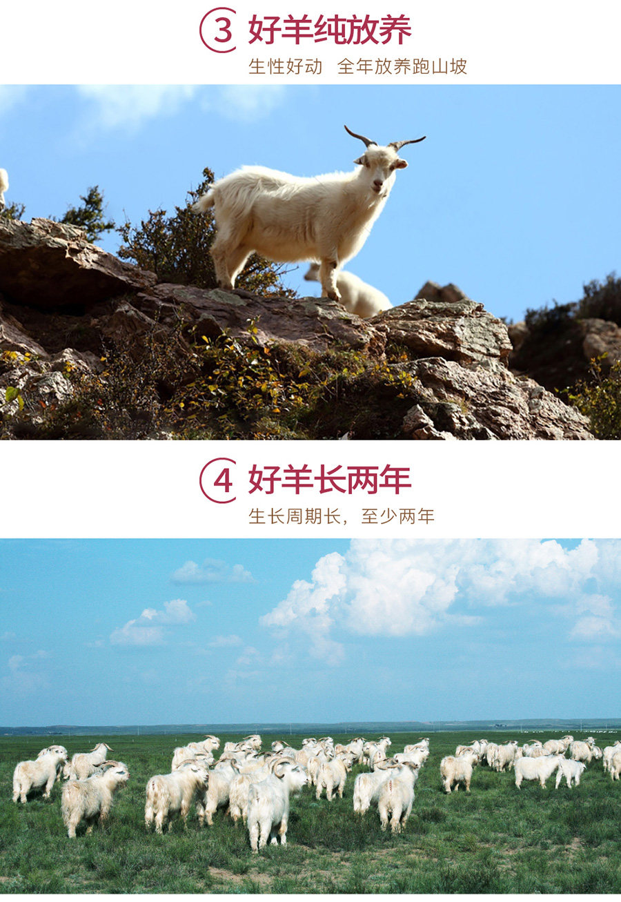 国家地标产品 碱滩羊 内蒙古准格尔山羊肉块 2斤 图6