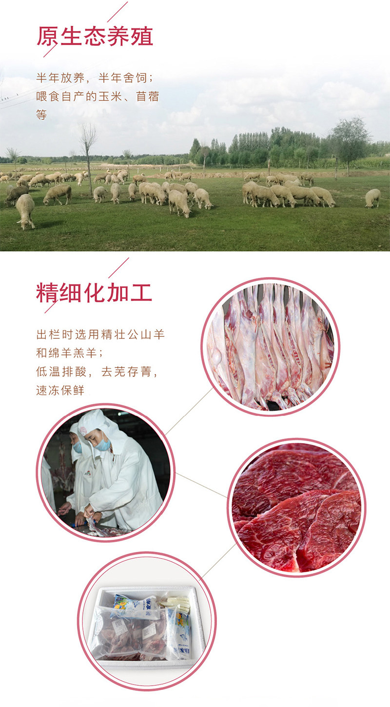 内蒙古 碱滩羊 180天羔羊整切羊排 3斤 图6