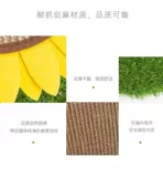 Питовые питомцы поставляются вокруг кошки, захватывающего мечсман -в день подсолнечника захватить кошку, чтобы облегчить игрушки -кошки, чтобы тренировать тело кота