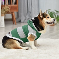 Полосатый шва в зеленый свитер