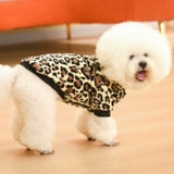 Собачья одежда зима 2021 Четырех ножных бишон медвед