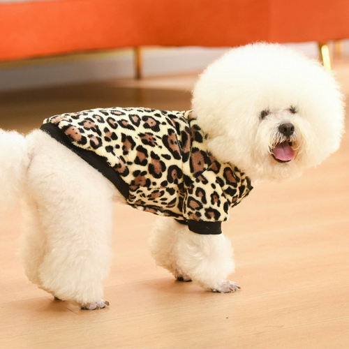 Собачья одежда зима 2021 Четырех ножных бишон медвед