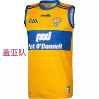 GAA GAA Team Vest