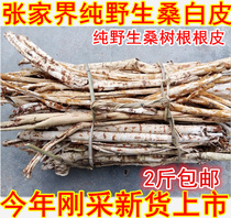 Zhangjiajie pure wild mulberry root skin Chinese herbal medicine Mulberry white skin Mulberry bark wash hair sun dry sulfur-free