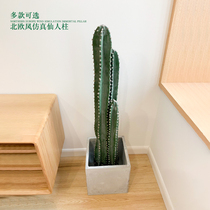 Nordic plant simulation cactus column floor green plant window ornaments decoration large simulation cactus column