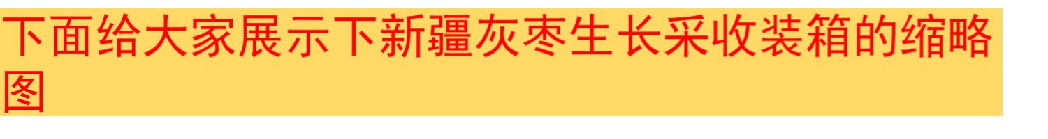 【红炒坊】新疆特级若羌灰枣三斤