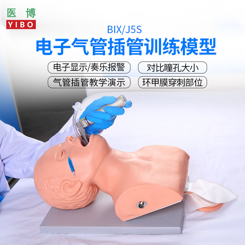 医博J5S成人电子气管插管模型 有牙齿受压警报与奏乐功能 教学用高级气管插管训练器材