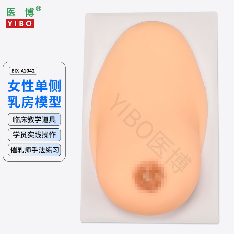 医博BIX-1042成人女性单侧硅胶乳房模型 仿真触感 催乳手法训练教学模型