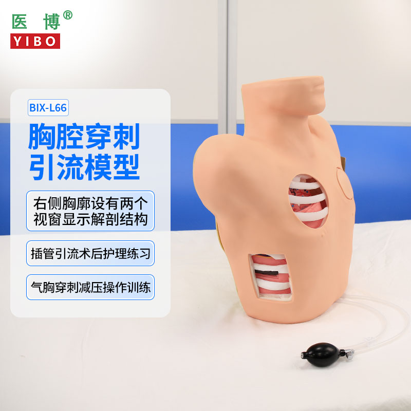 医博BIX-L66胸腔闭式引流穿刺训练模拟人气胸穿刺减压训练模型模块 教学训练假人