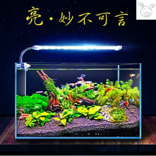 Аквариумное освещение, подводный светодиодный светильник, подводные маленькие водные растения, энергосберегающий аквариум