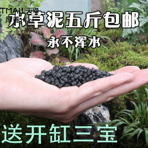 Амазонка водные черные водоросли