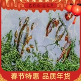 Рыбные прудные растения слон элатаичный колесо черные водоросли рыбные креветки очищают воду воду за четыре сезона.