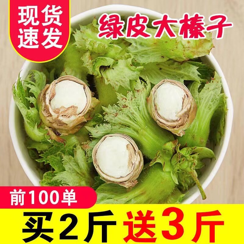 2023 new big hazelnut fresh with green skin water kernel Northeast specialty green skin water flesh Huan Renping European raw hazelnut