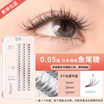 Japanese fishtail eyelashes supernatural dense simulation single cluster Net Red C- warped 0 05 mink hair grafting false eyelashes