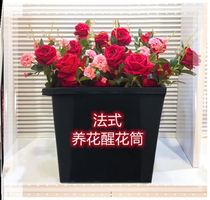 Flowers Wake Up Buckets Dry Flowers Buckets Fresh Flower Shops Resistant To Fall Flowers Home Square Flower Bucket Large Fag Durable Plastic Bucket