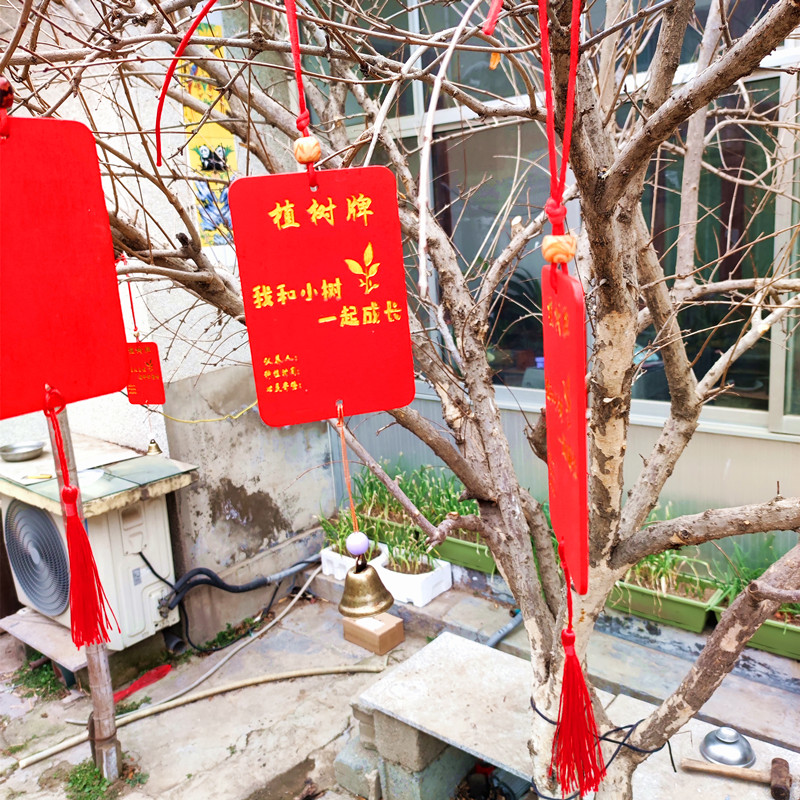 Prayer brand wooden hanging tree planting festival activities tree adoption person claims name commemorative wishes tree suspension