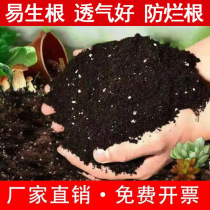 Plant flower special nutrient-plant flower soil universal home flower peddles flower growing vegetable soil potted plants