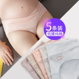 朴荷汀 Трусы, нижнее белье для беременных