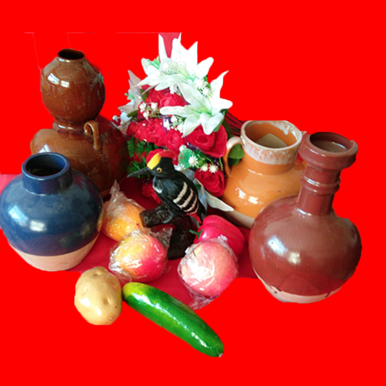 Still life ceramic jar 12 pieces of sketching aids 3 still life jar 4 wax fruit 6 bird specimen 1 simulated flower 1 bunch
