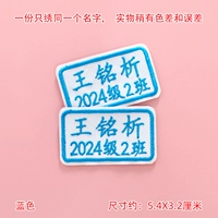 Имя + класс (синий) 10 только вышитые имена