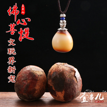 Necklace key buckle Buddhas heart fruit pendant finished rope Sakya Bodhi hanging pendant single large fruity accessory to adorned original seed