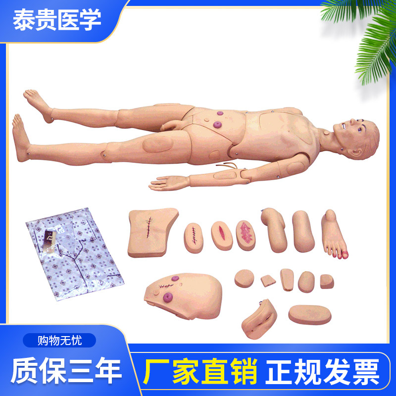 泰贵医学H27高级全功能护理训练模拟人（男性）